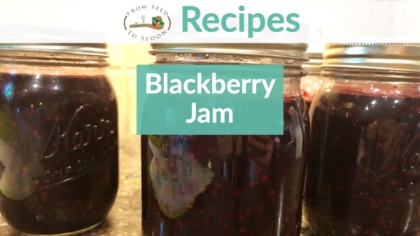 Blackberry Jam