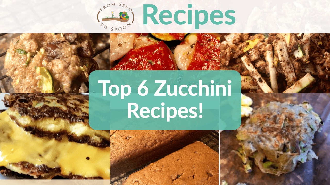 Top 6 Zucchini Recipes