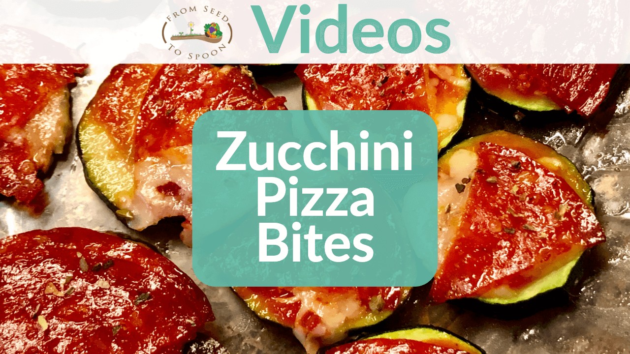 Zucchini Pizza Bites (1)