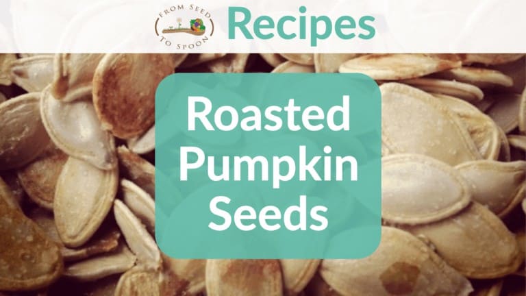 Roasted pumpkin seeds