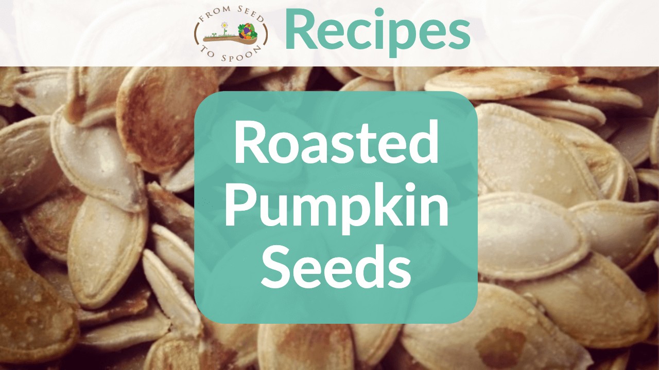 Roasted Pumpkin Seeds From Seed to Spoon Vegetable Garden Planner