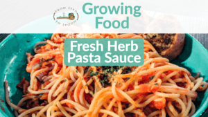 Fresh Herb Spaghetti Saucer (1)