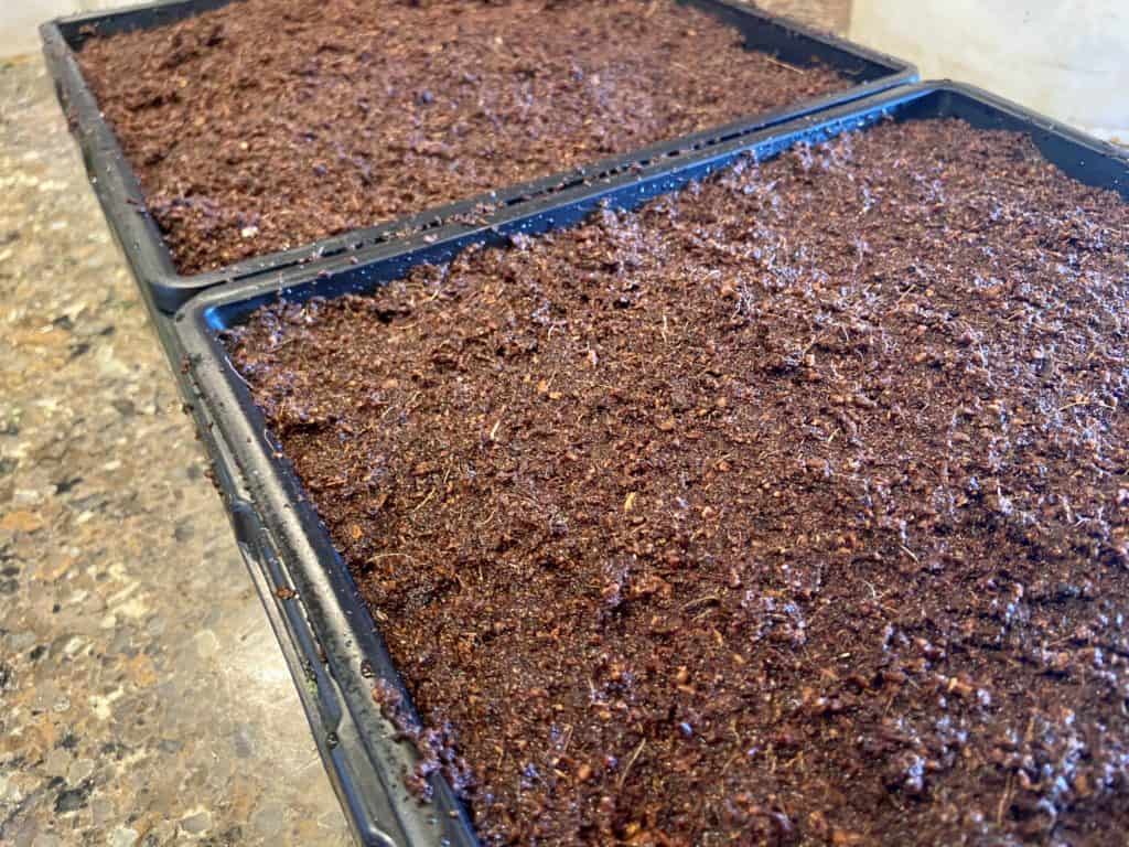 seed starting trays