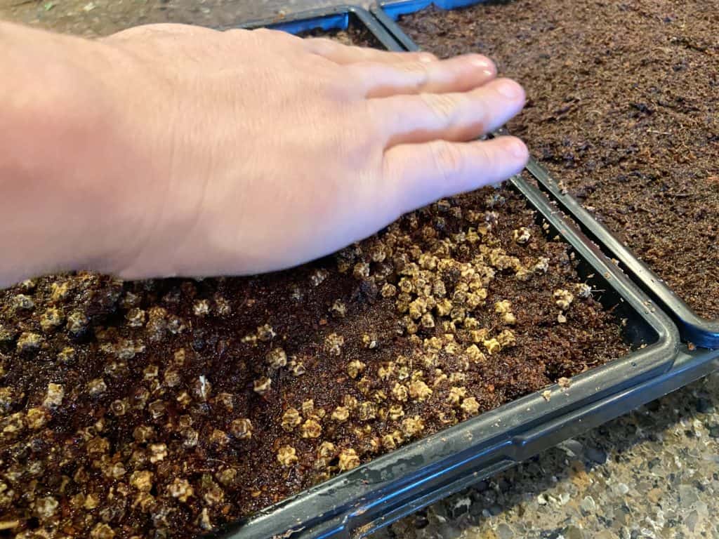 seed starting trays