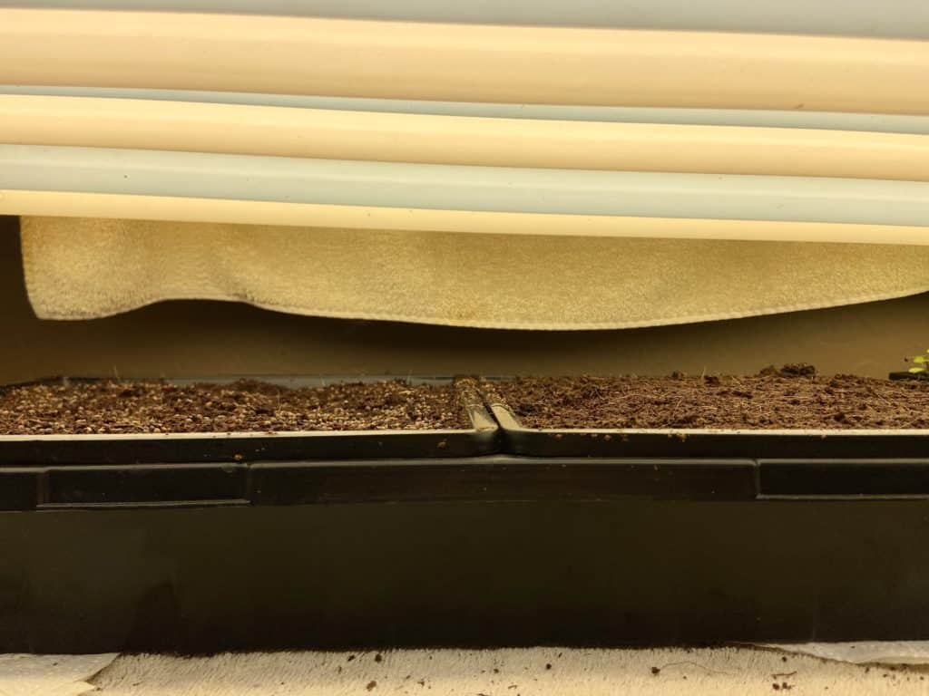 seed starting trays