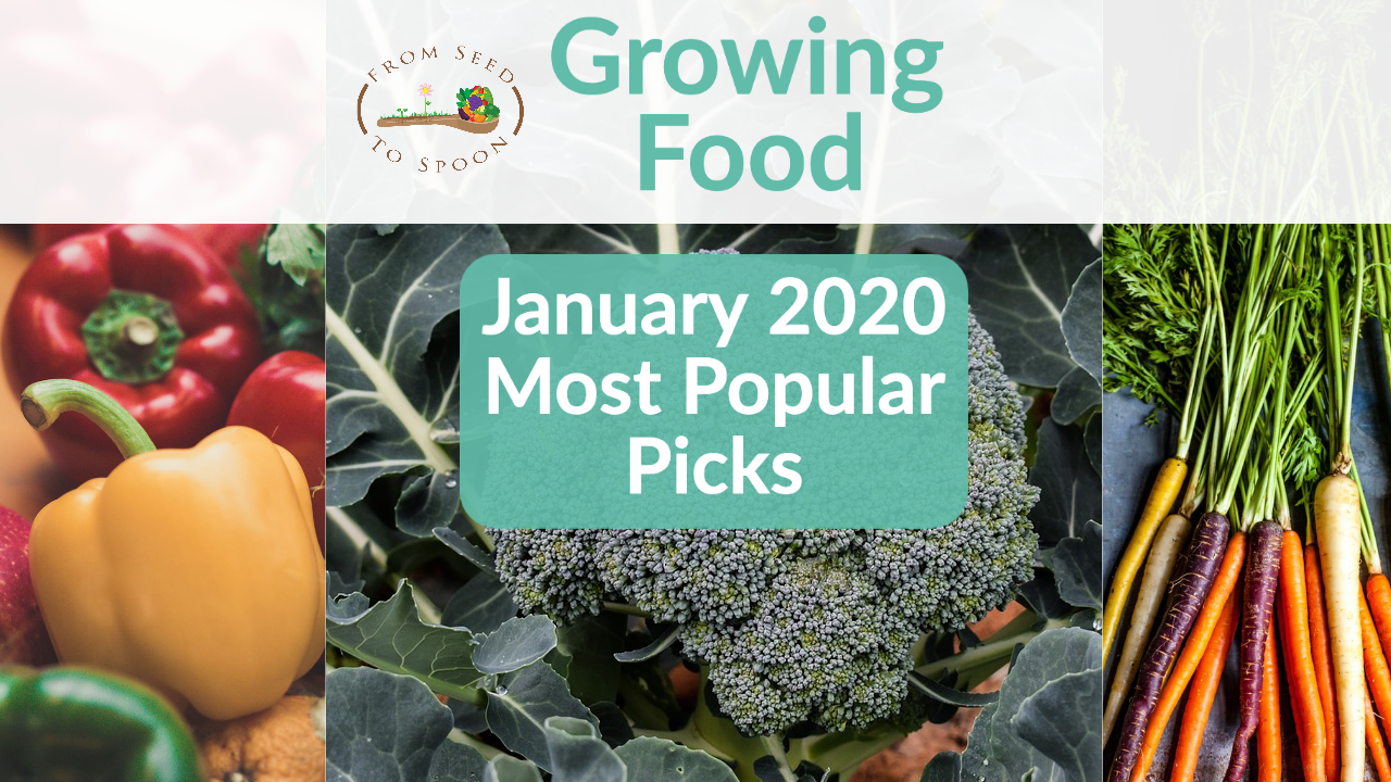 january 2020 most popular picks