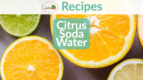 citrus soda water