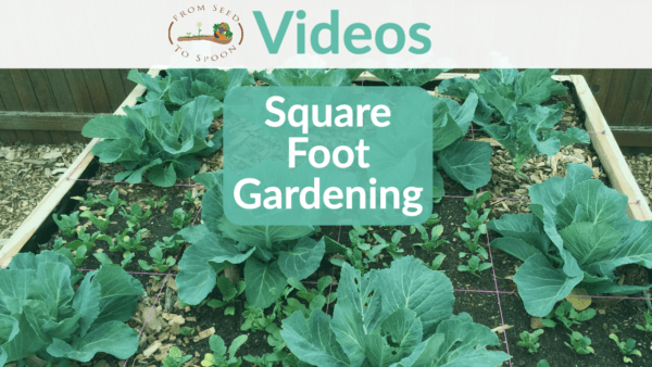 Video: How We Use Square Foot Gardening to Maximize Planting Space in