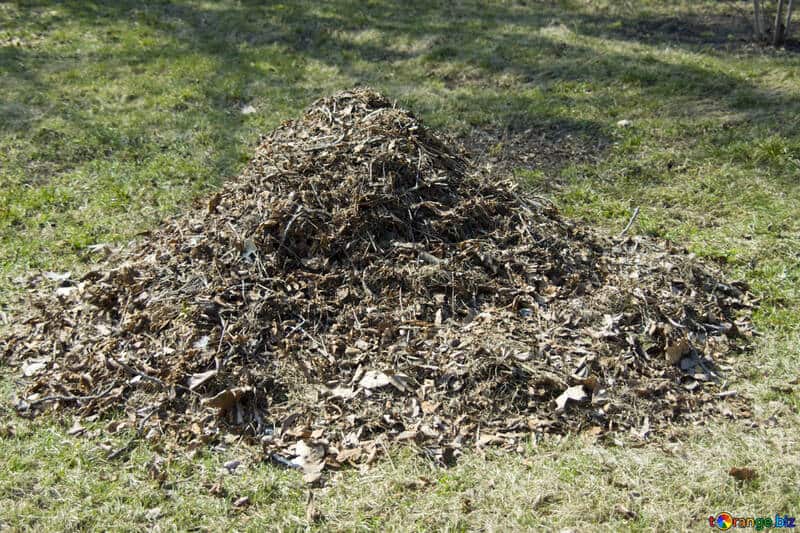 compost pile