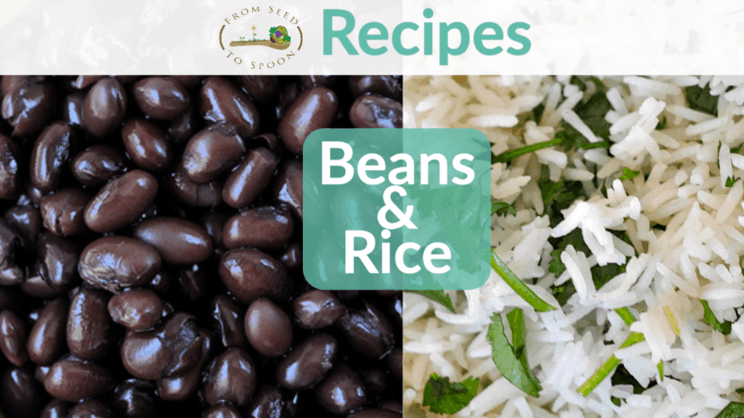 beans & rice