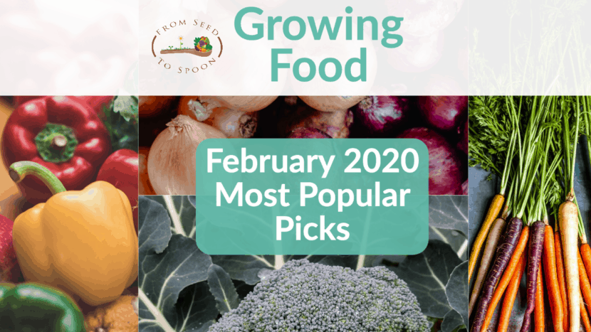 february 2020 most popular picks