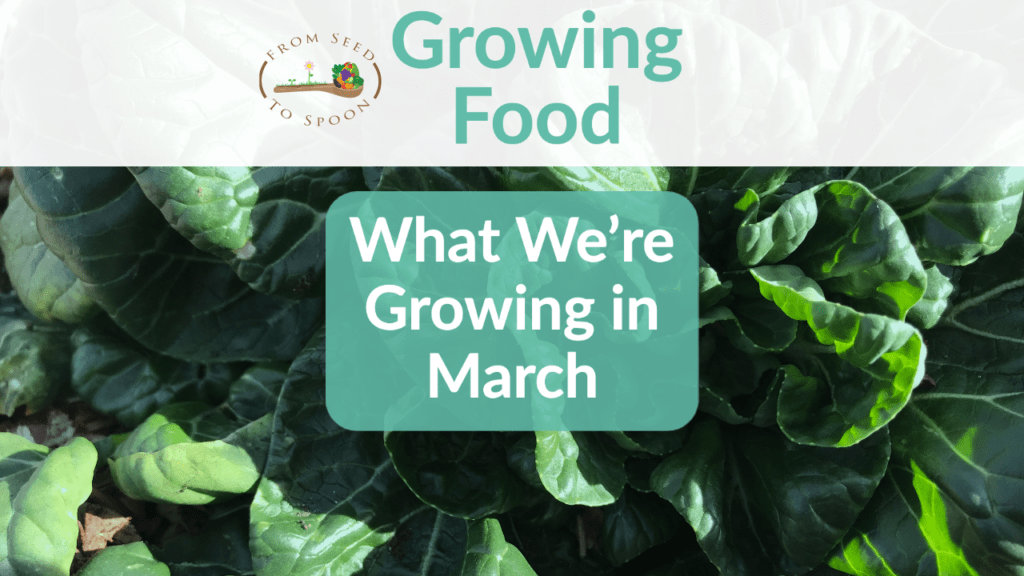 what we're growing in march