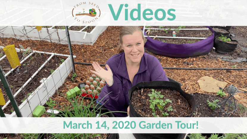 march 2020 garden tour
