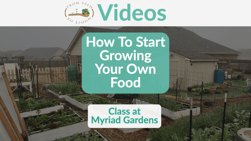 how to start growing your own food