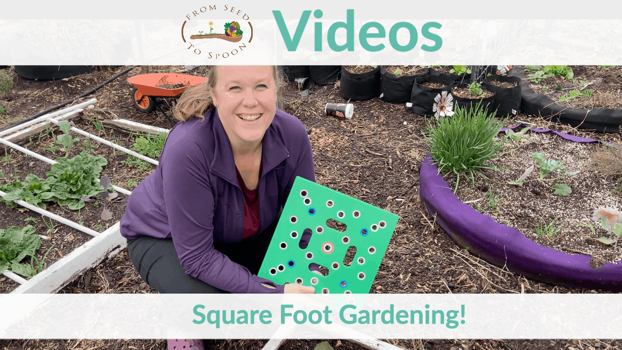 square foot gardening