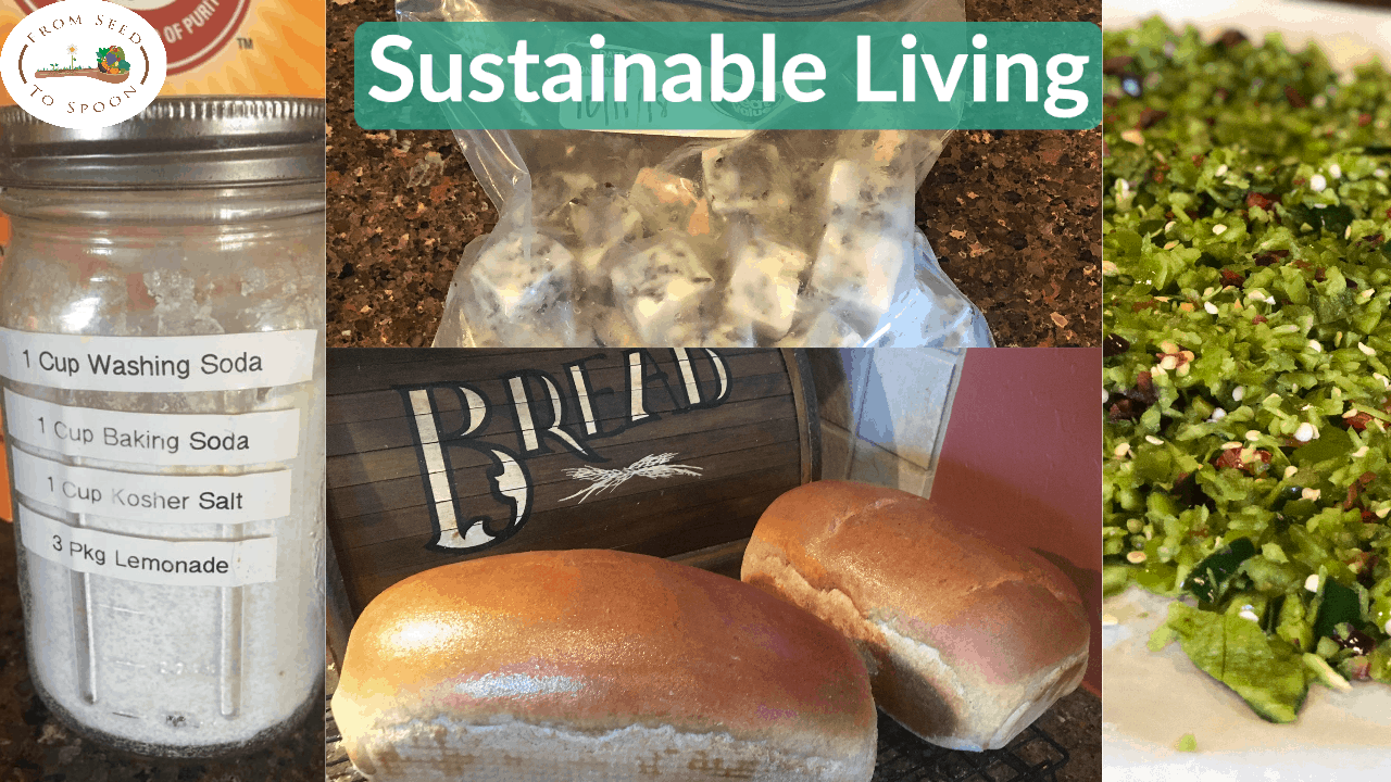 sustainable living