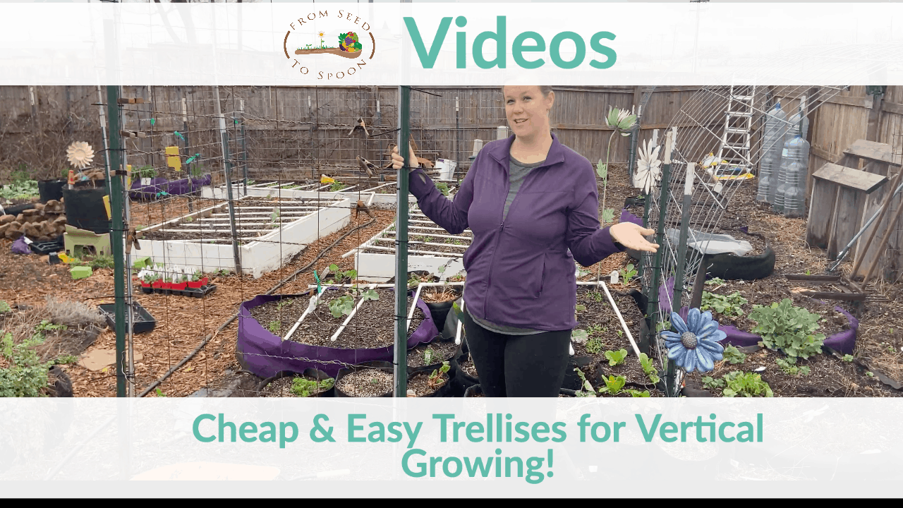 cheap & easy trellises