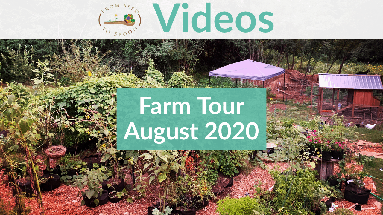 Farm Tour August 2020