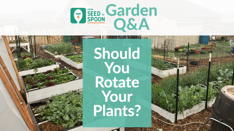 Q&A_ Rotating Crops