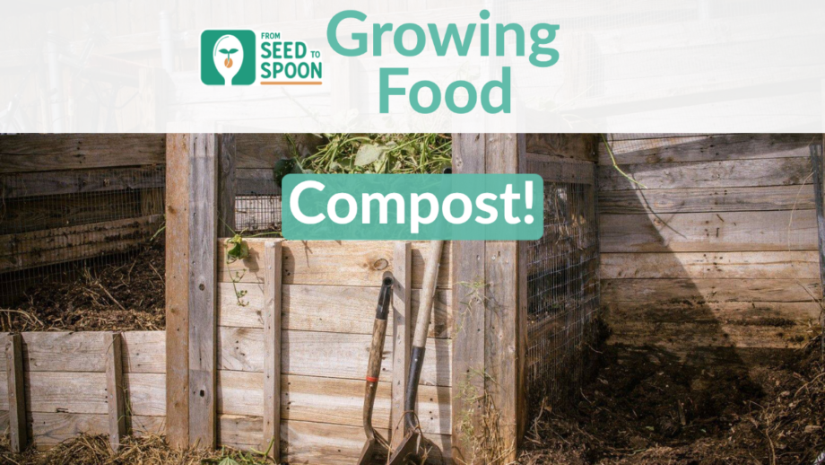 Seed Compost: The Ultimate Guide - Carbon Gold