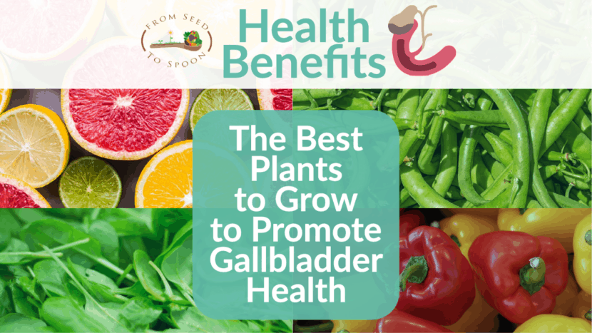 the best plants to grow to promote gallbladder health
