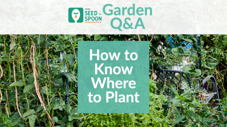 Where to Plant
