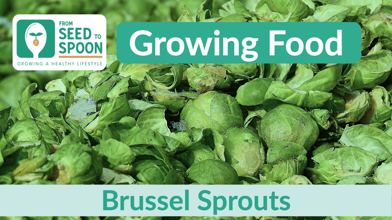 brussel sprouts