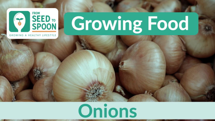 onions