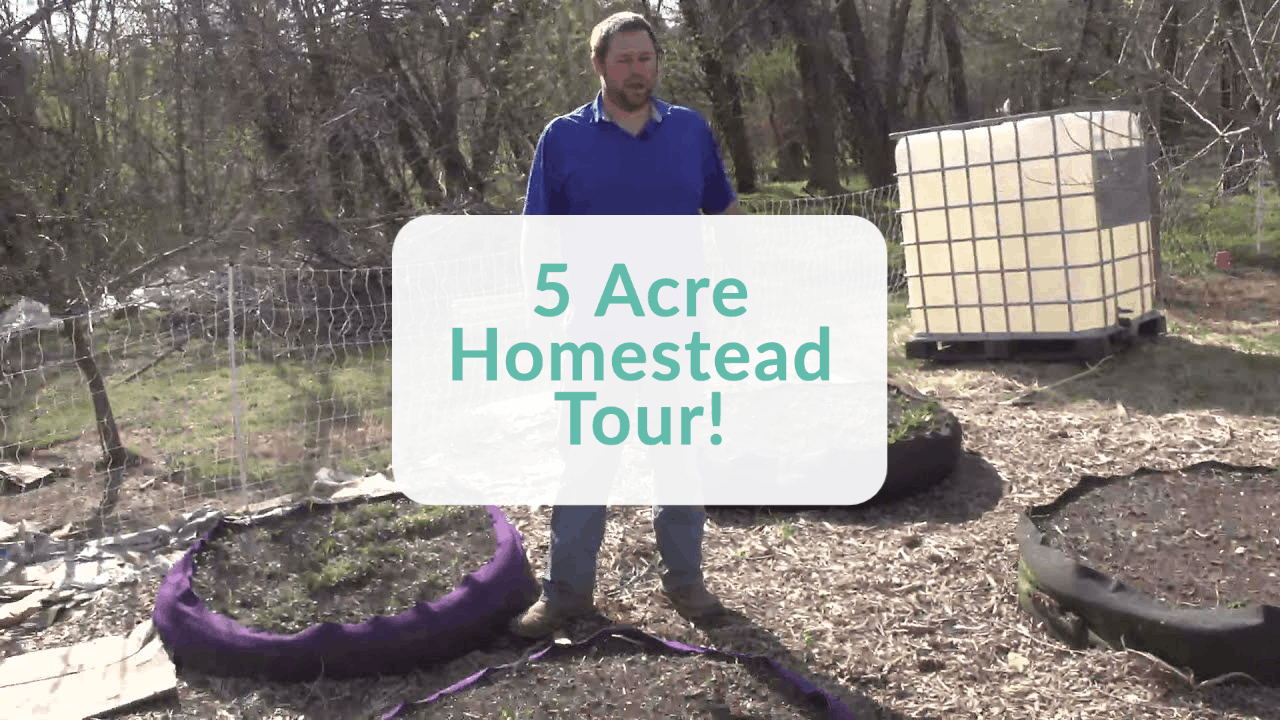 5 acre homestead tour