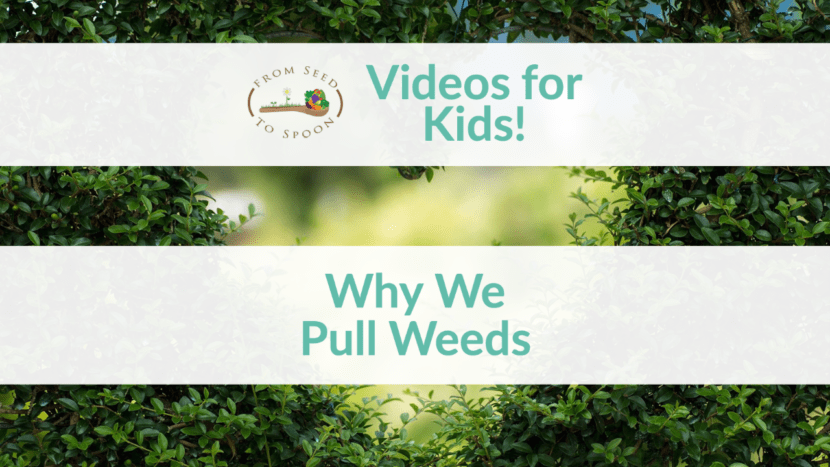 why we pull weeds