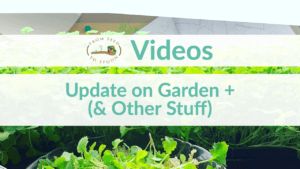 update on garden +