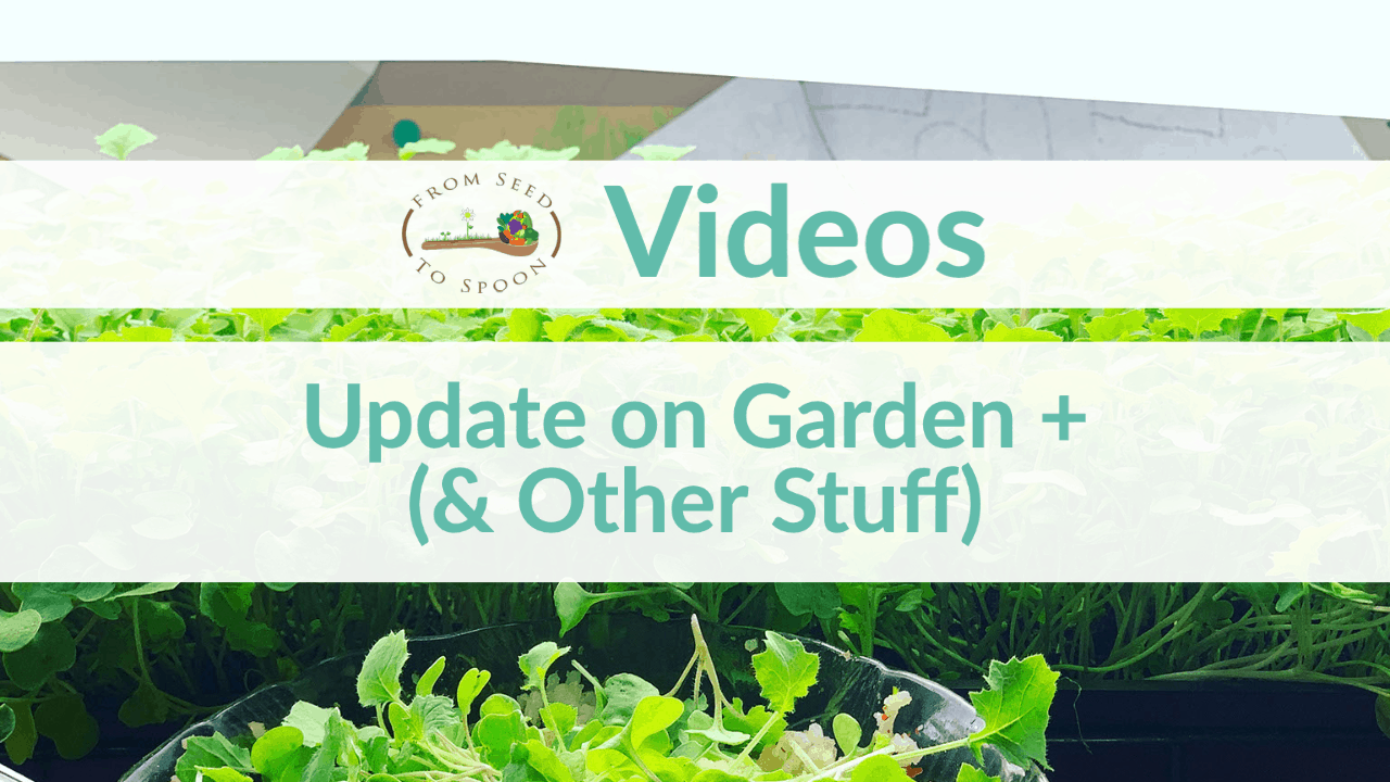 update on garden +