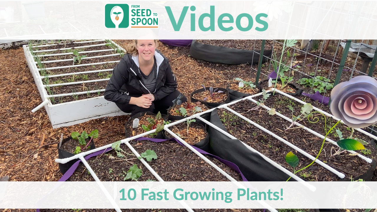 10 fast plants