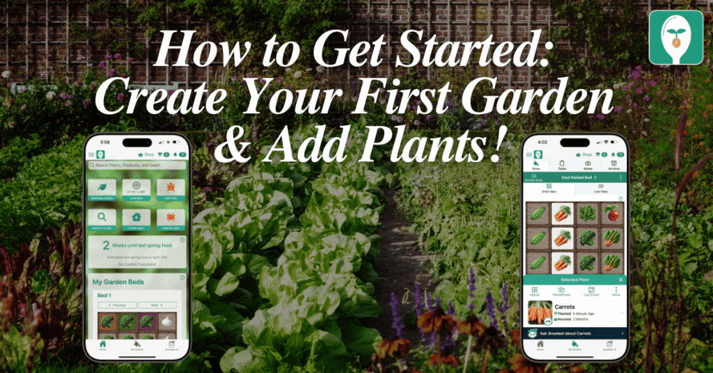 how to get started