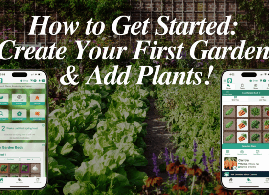how to get started