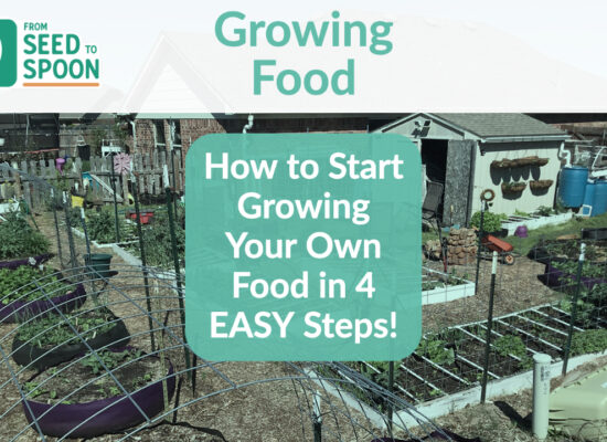 how to start growing in 4 easy steps