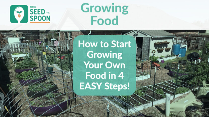 how to start growing in 4 easy steps