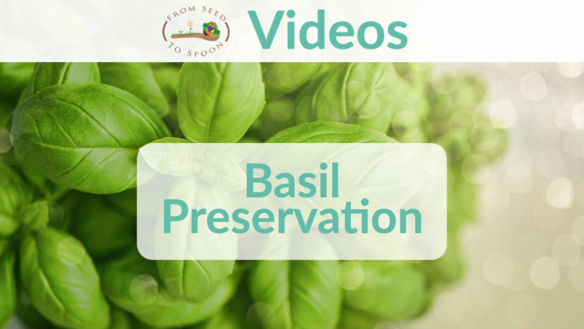 basil preservation