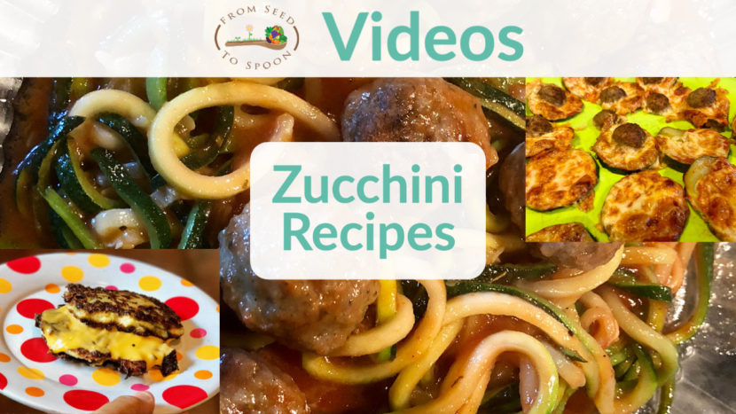 zucchini recipes