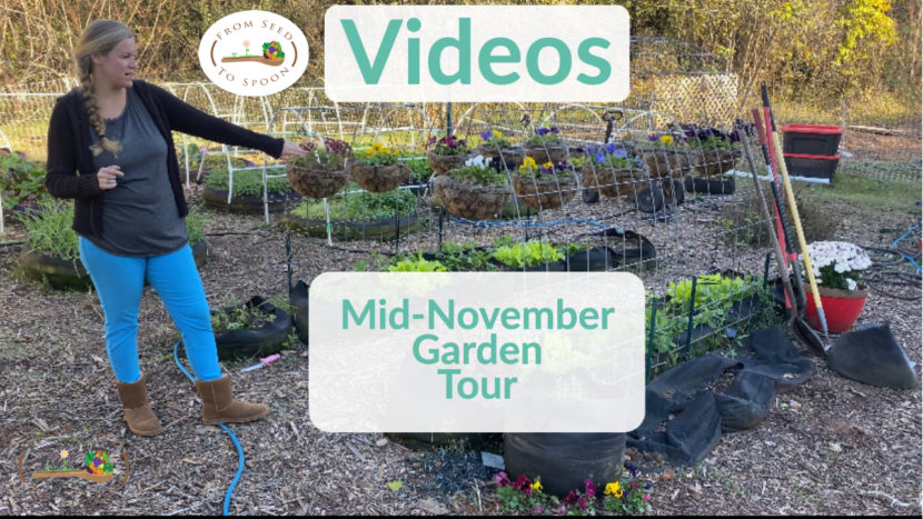 mid-november garden tour