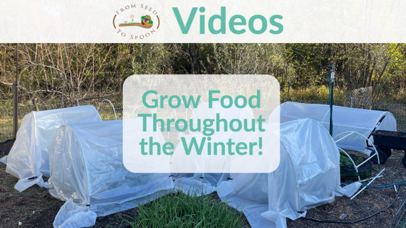 grow food throughout the winter