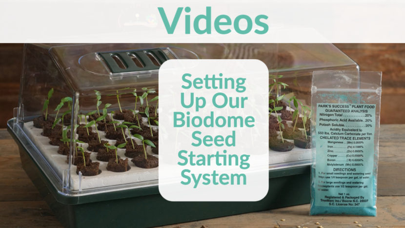 setting up our bio dome seed starting system