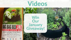 win our january giveaway