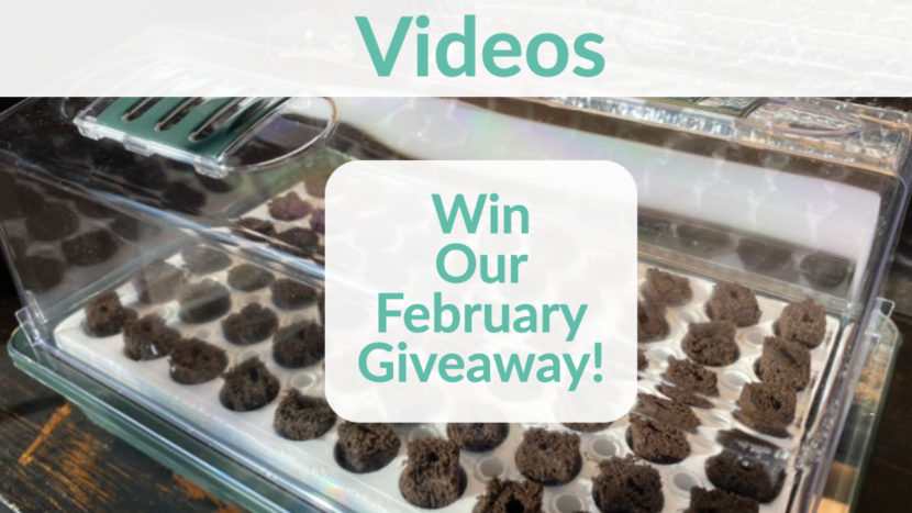 win our february giveaway