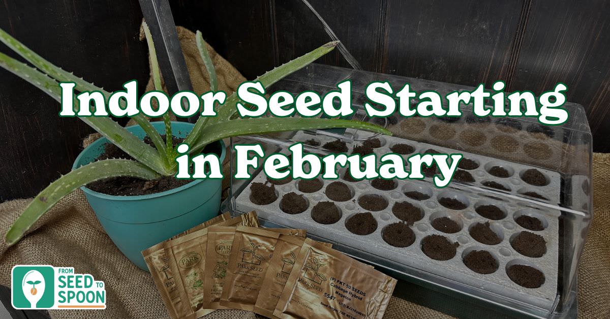 indoor seed starting february