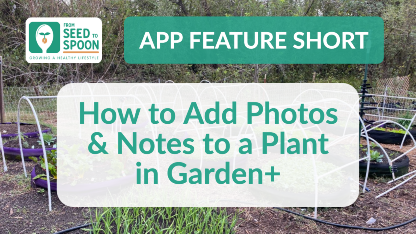 Add Photos & Notes to a Plant in Garden+