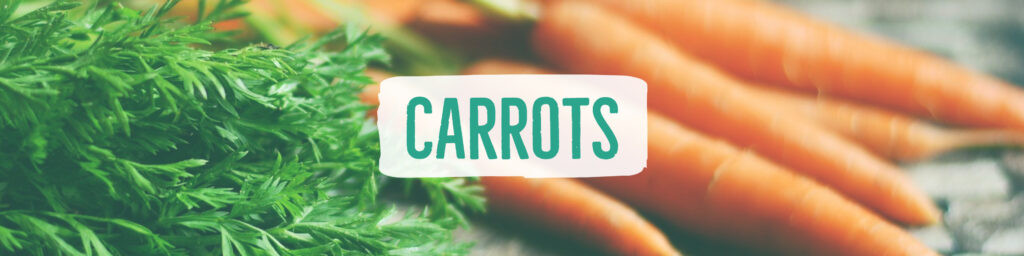 carrots