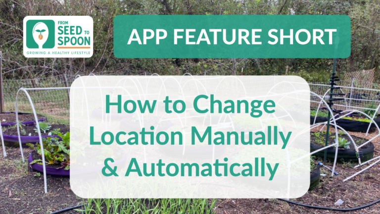 Manually/Automatically Changing Locations - App Feature Short