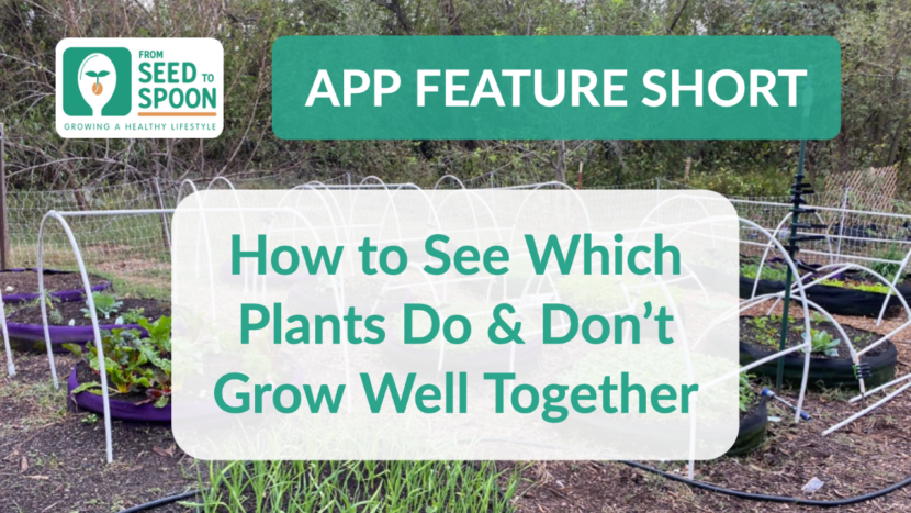 Plants that Grow Well & Don't Together