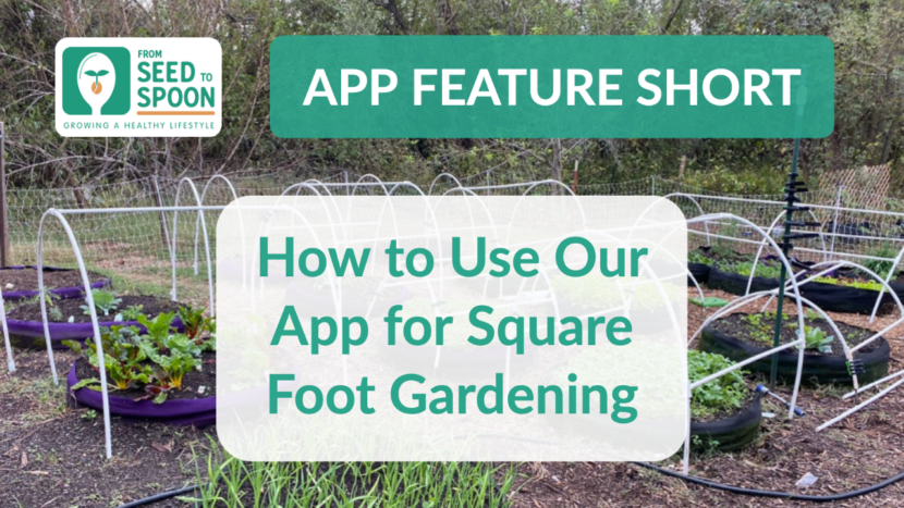 Square foot gardening